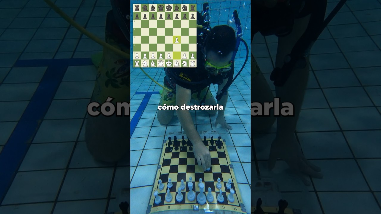 GANA vs LA DEFENSA PÁJARO en 6 JUGADAS 🔥 GANA vs LA DEFENSA PÁJARO en 6 JUGADAS 🔥