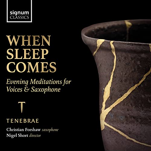 When Sleep Comes / Tenebrae