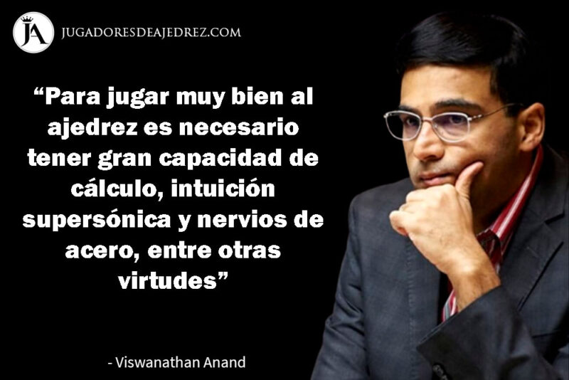 Frases de Viswanathan Anand