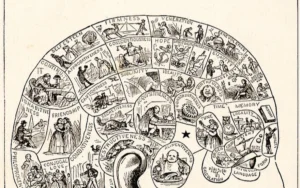 Ajedrez y Neurociencia: Cómo Funciona el Cerebro de un Gran Maestro