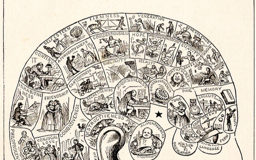 Encontrar la pericia ajedrecística en el cerebro: Un estudio de caso